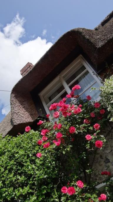 Little Thatch Cottage - Cerne Abbas, Dorset Esterno foto