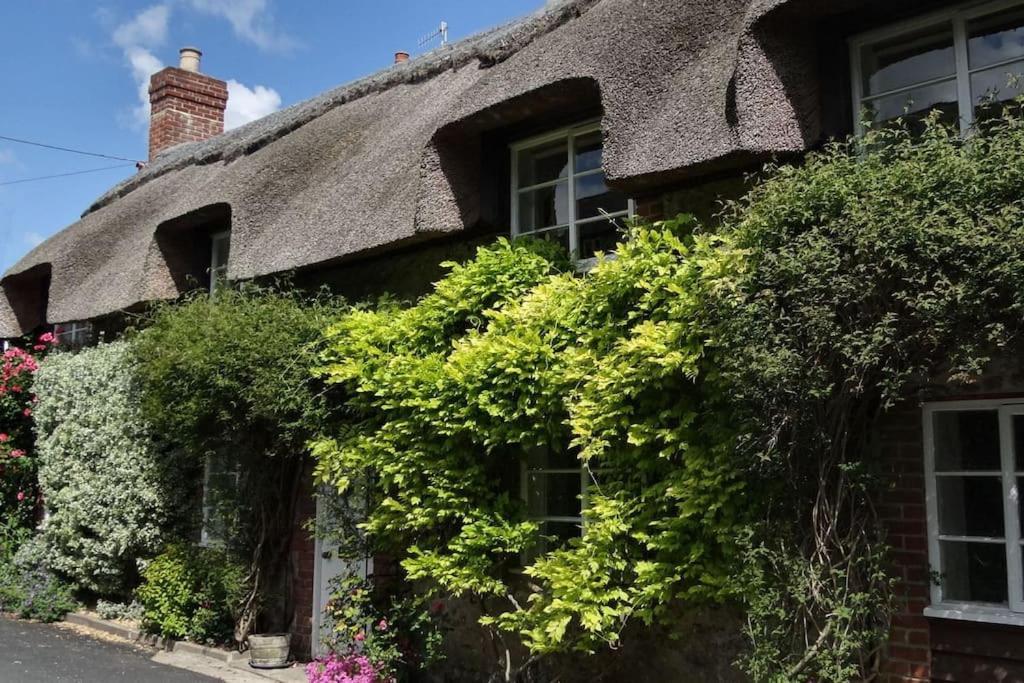 Little Thatch Cottage - Cerne Abbas, Dorset Esterno foto